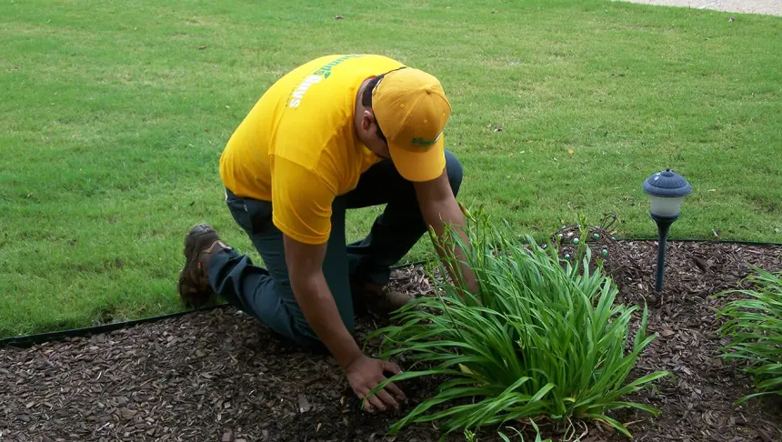 Professional mulching